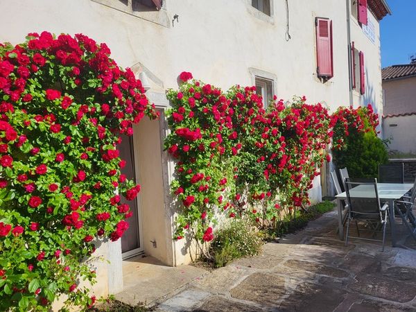 exterieur fleurs.Ct7lMDuO