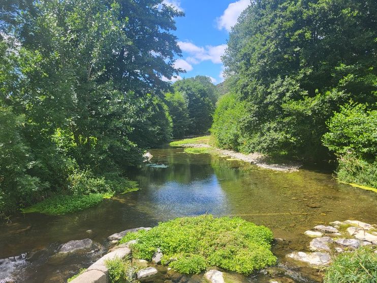 Jardin méditerranéen du Clos d'Audio en plein été