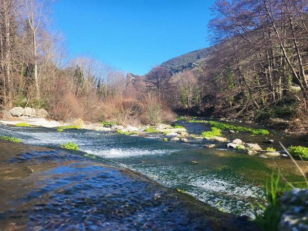 riviere 3.CK25L hp