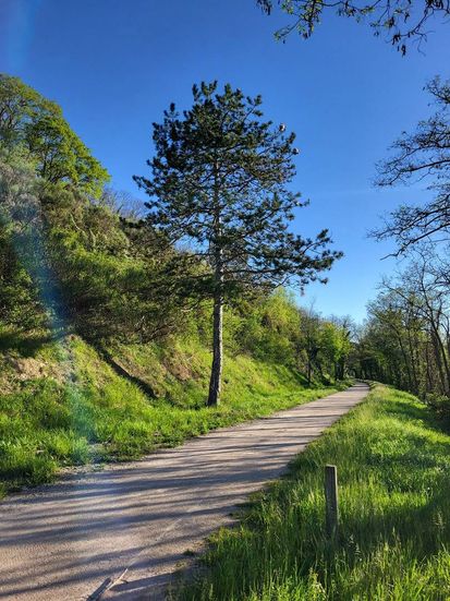 Panneau de la voie verte Passa Païs à Riols
