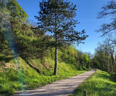 Piste voie verte Passa Païs dans la forêt.